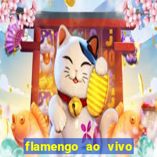 flamengo ao vivo multi tv