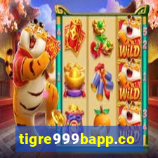 tigre999bapp.com