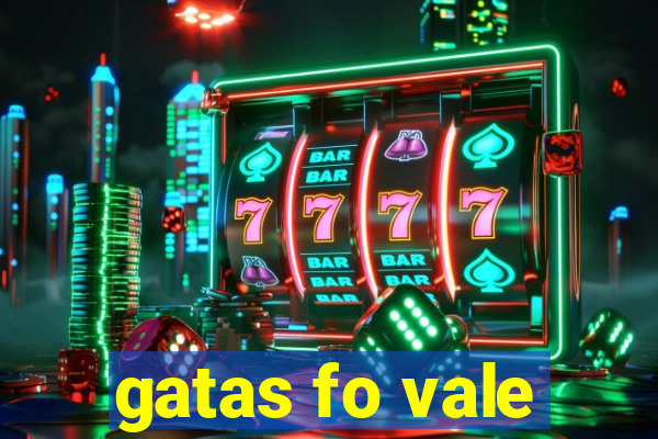 gatas fo vale