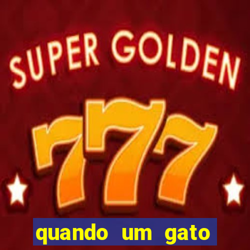 quando um gato aparece do nada significado espiritual
