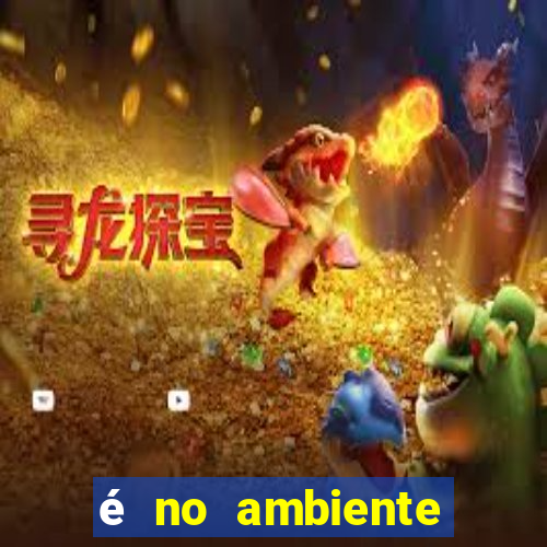 é no ambiente interno de uma empresa que se encontra