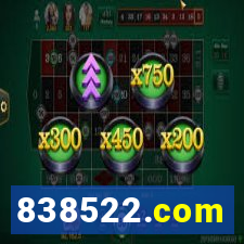 838522.com