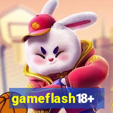 gameflash18+
