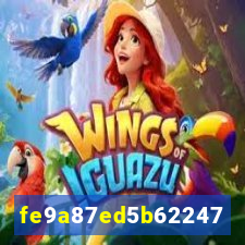6020bet
