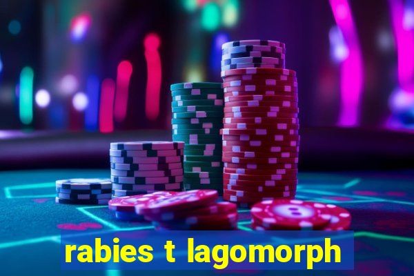 rabies t lagomorph