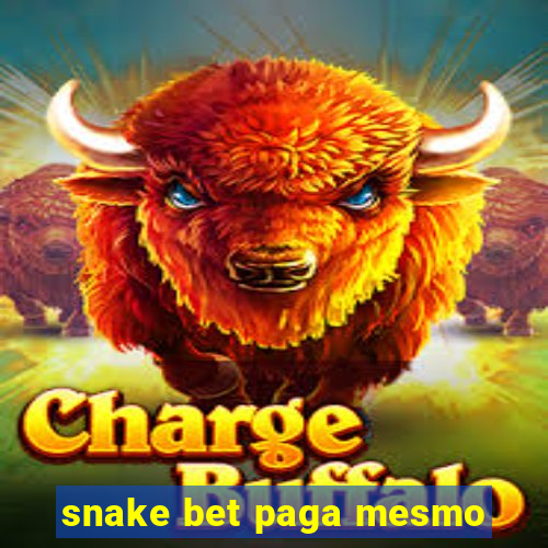 snake bet paga mesmo