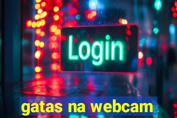gatas na webcam