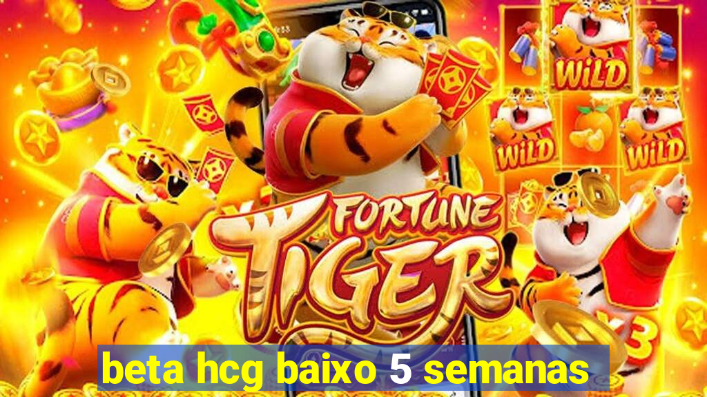 beta hcg baixo 5 semanas