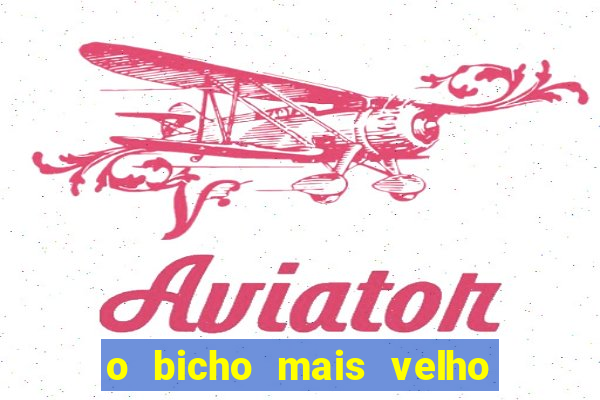 o bicho mais velho da loteria dos sonhos