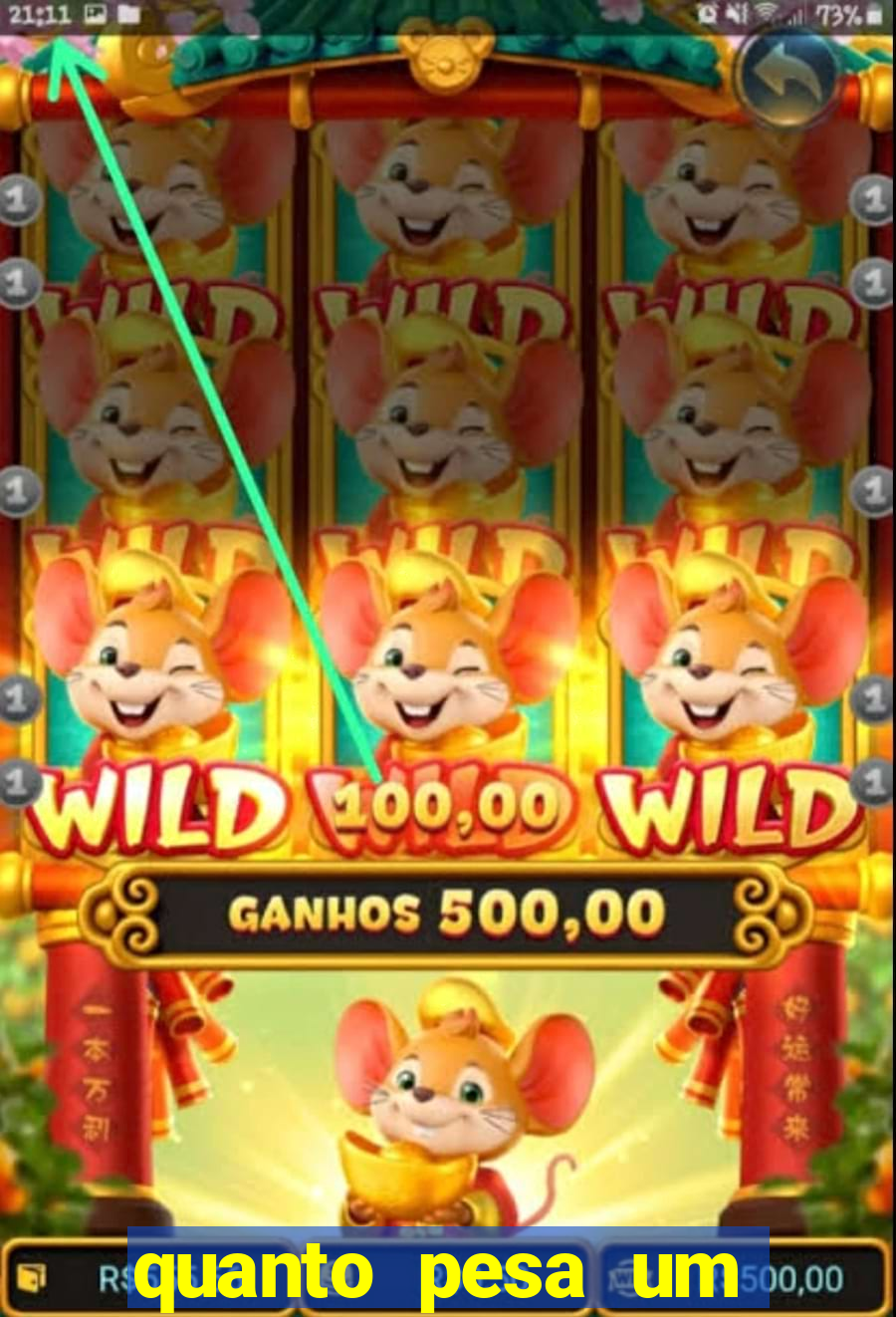 quanto pesa um fuzil 762