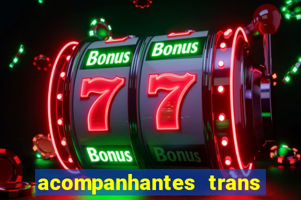 acompanhantes trans porto seguro
