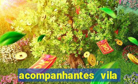 acompanhantes vila nova goiania