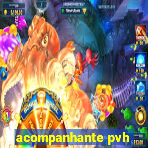 acompanhante pvh