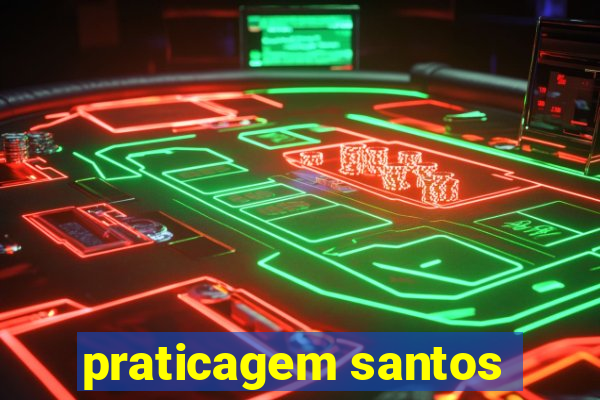 praticagem santos