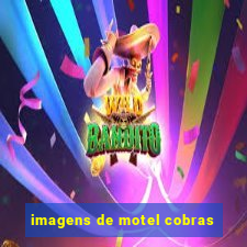 imagens de motel cobras