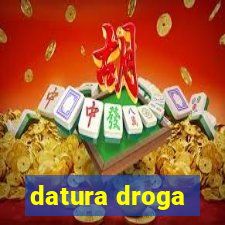 datura droga