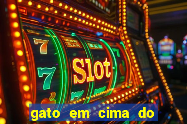 gato em cima do telhado significado espiritual