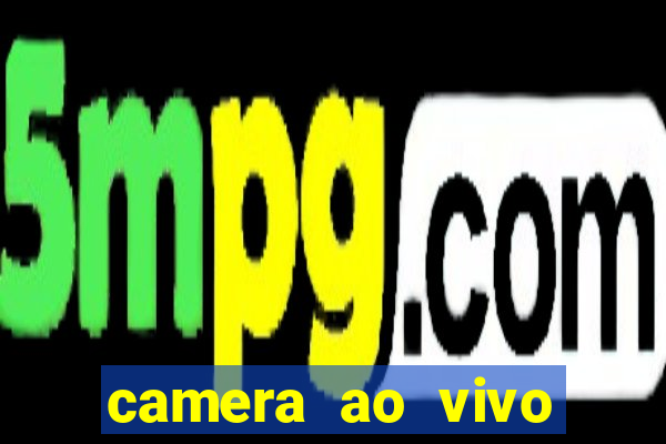 camera ao vivo beto carrero