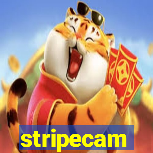 stripecam