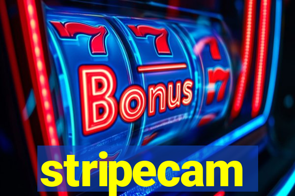stripecam