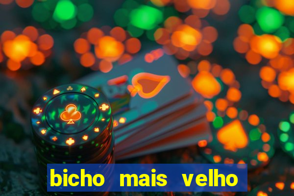 bicho mais velho da loteria dos sonhos