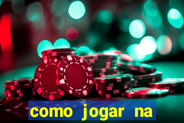como jogar na lotinha do jogo do bicho