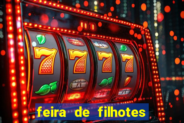 feira de filhotes porto alegre