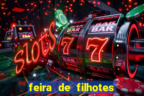 feira de filhotes porto alegre