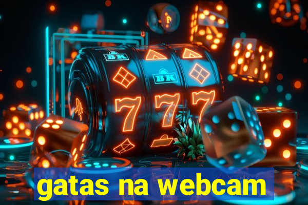 gatas na webcam