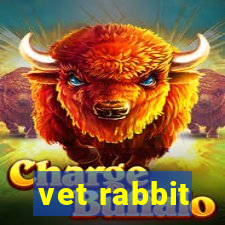 vet rabbit