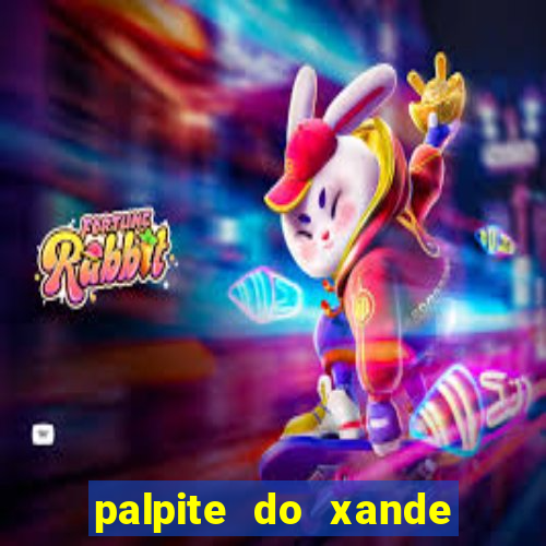 palpite do xande para hoje