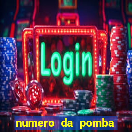 6566