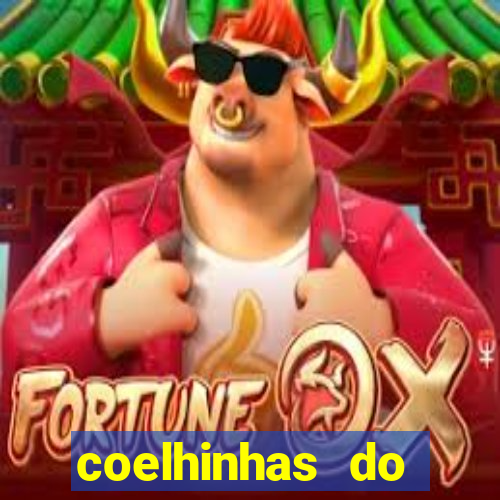 coelhinhas do brasil jp