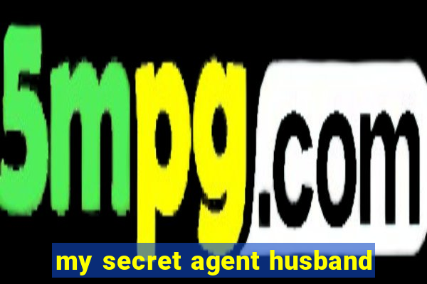 my secret agent husband