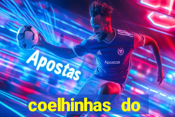 coelhinhas do brasil recife
