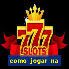 como jogar na seninha online