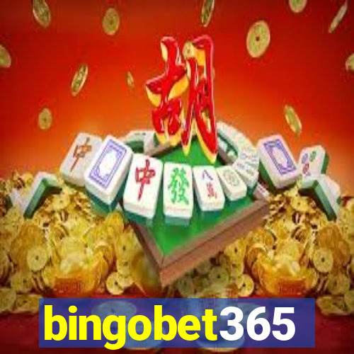 bingobet365