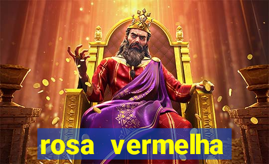 rosa vermelha (letra e cifra)