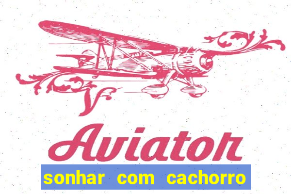sonhar com cachorro cruzando jogo do bicho