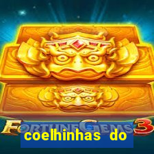 coelhinhas do brasil site