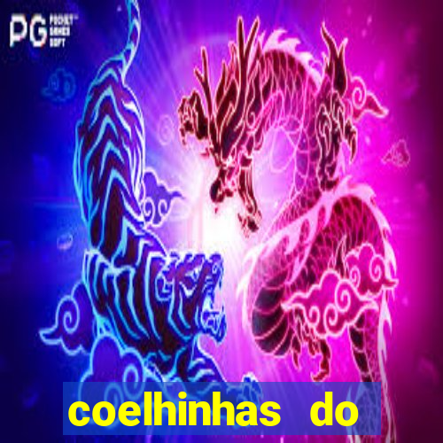 coelhinhas do brasil site