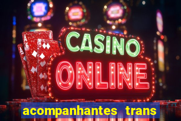 acompanhantes trans porto seguro