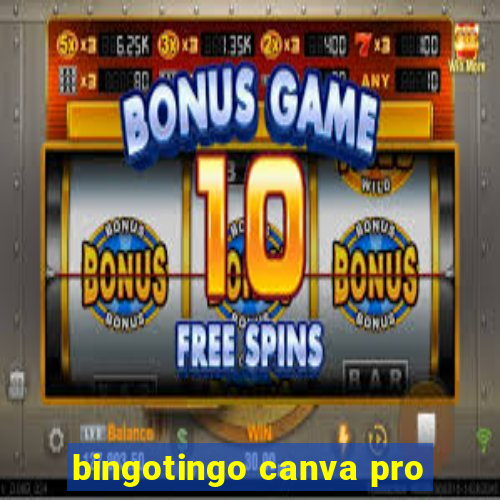 bingotingo canva pro