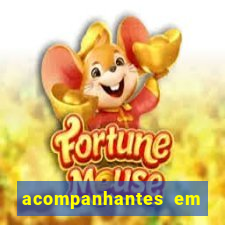 acompanhantes em paulo afonso
