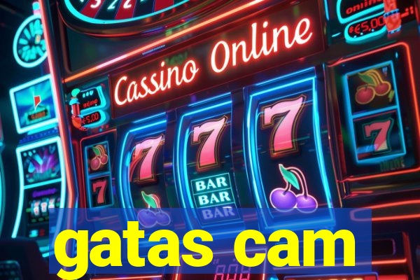 gatas cam