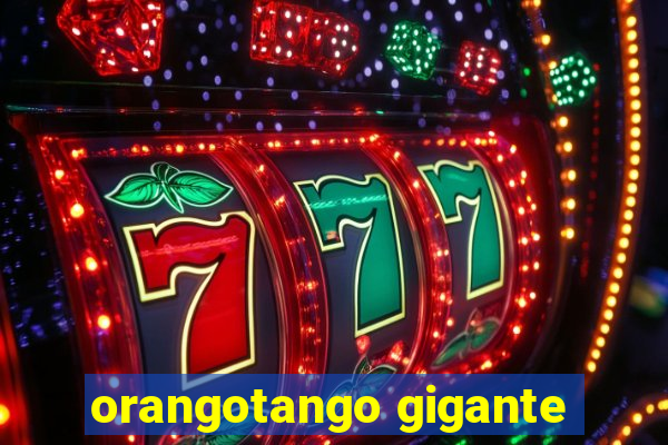 orangotango gigante