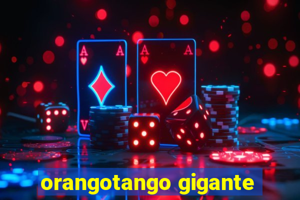 orangotango gigante