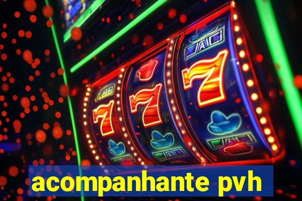 acompanhante pvh