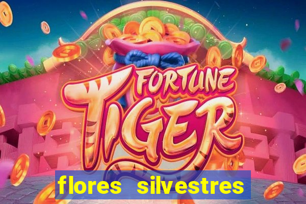 flores silvestres desbravadores desbravadores 25 flores silvestres e seus nomes