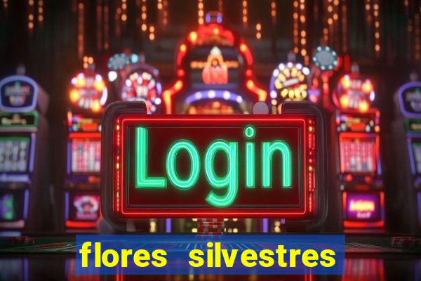 flores silvestres desbravadores desbravadores 25 flores silvestres e seus nomes